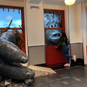 Meet your Posher, Lina